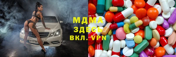 a pvp Бородино