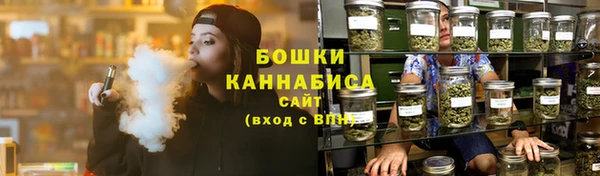 индика Верея