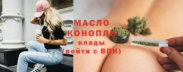 индика Верея