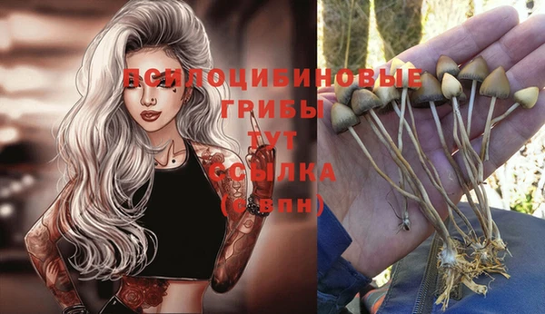 индика Верея