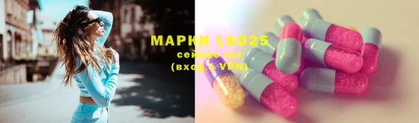 индика Верея