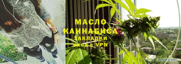 индика Верея