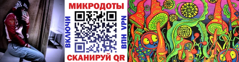 продажа наркотиков  площадка наркотические препараты  Галлюциногенные грибы Magic Shrooms  Каменка 